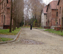 auschwitz-birkenau_4