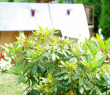 Spotkanie nadziei (5)