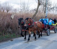 Orszak Trzech Króli (40)